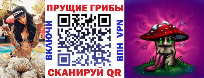 Псилоцибиновые грибы Psilocybe  маркетплейс формула  Черноголовка  сколько стоит 